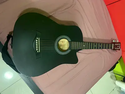 acoustic guitar