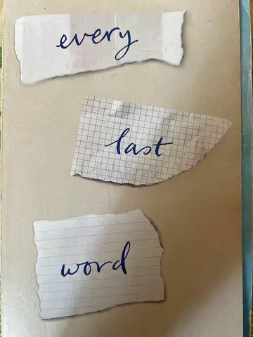 Every last word by Tamara Ireland stone