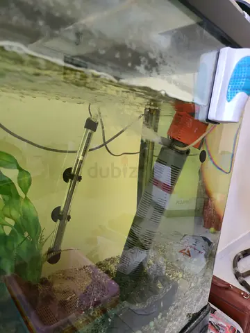 Aquarium Equipment for Sale