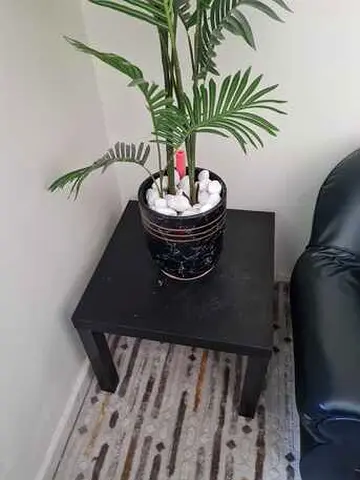 Simple Black Side Table with Decorative Plant