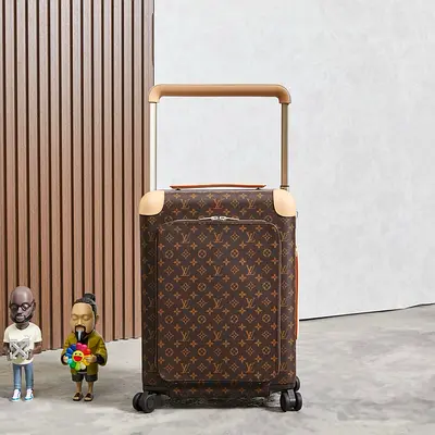 Louis vuitton luggage bag