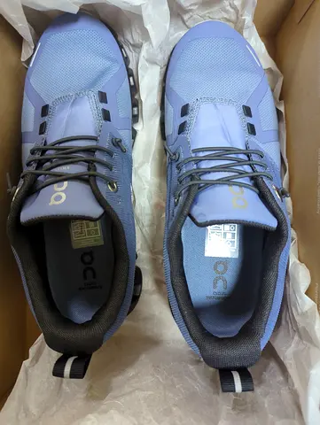 Shoe