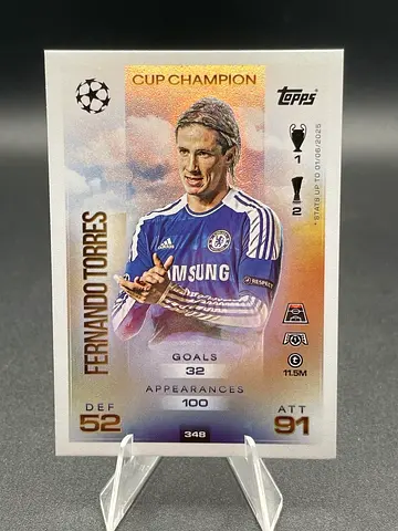 Rare Fernando Torres Cup Champion Collectible Card with protecter