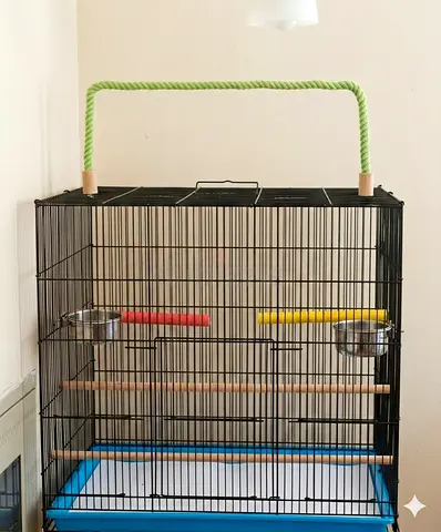 Parrot Cage  with free Accessories for sale urgent sale