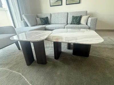 Stylish Coffee Tables Set