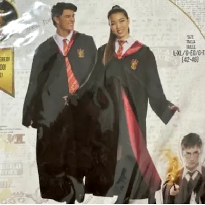 Harry Potter costume