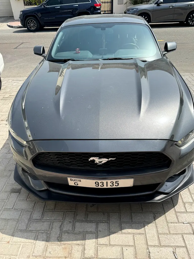 Ford Mustang 2017 — photo 1 of 6
