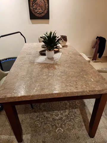 Marble Dining table for 6