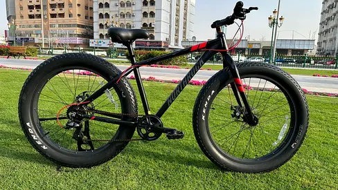 NORTH ROCK FAT BIKE26/4.00