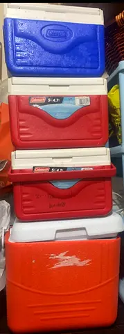 Assorted Coolers for Outdoor Fun