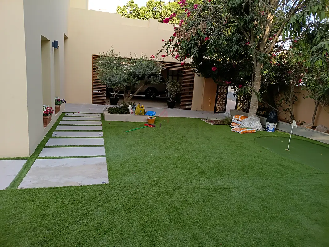 DPV_View_Image_4