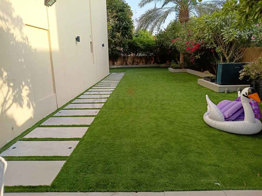 DPV_View_Image_2