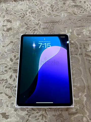 Ipad pro (11-inch) 4 generation 256gb with box