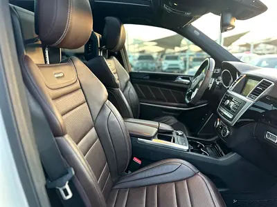 2016 Mercedes-BENZ GL 照片 16
