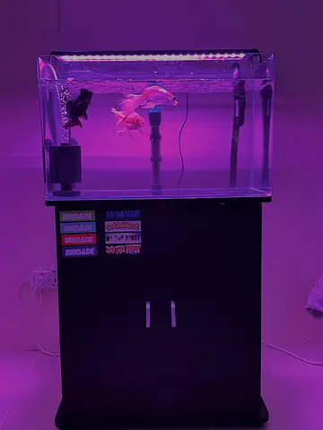 Aquarium  Filter 4Sale