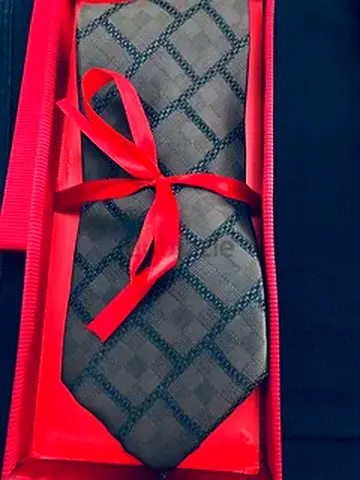 Elegant Mens Tie in Gift Box (Brioni brand)