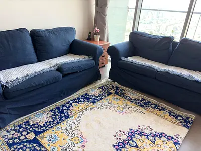 Comfortable Blue Sofa Set From IKEA