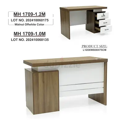 Stylish Modern Desk with Storage