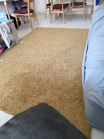 Cozy Beige Area Rug (2 pieces)