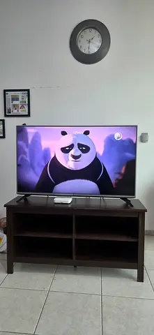 LG 49 LED TV with Wooden TV Stand