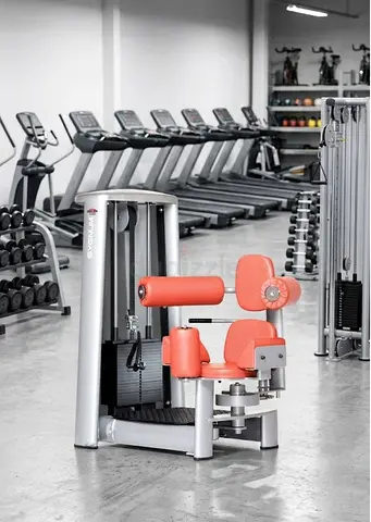 GYM80 ROTARY TORSO | AED 5000 Abs Crunch