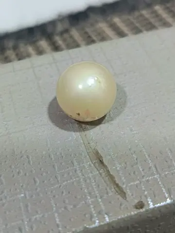 Natural south sea pearl big size