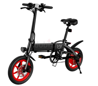 Wind Horse Folding Electric Bike, C19 - 1 Year Warranty