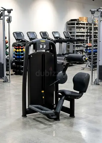 Technogym Lower Back Fitness Machine