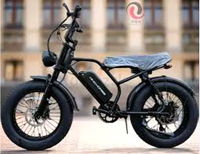 Wind Horse V8 Pro Electric Bike