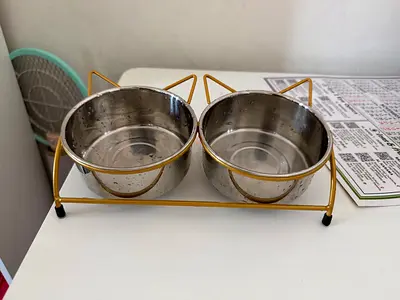 Double Stainless Steel Pet Food and Water Bowls