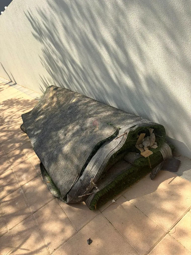 DPV_View_Image_2