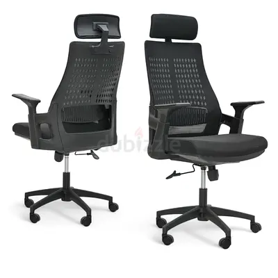 Ergonomic Mesh Office Chair with Adjustable Headrest  Built-in Lumbar Support - High Back Swivel
