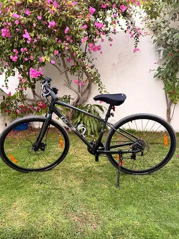 Liv by Giant Alight city bike