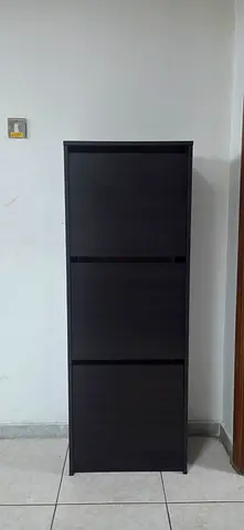 Stylish Black Shoe Cabinet
