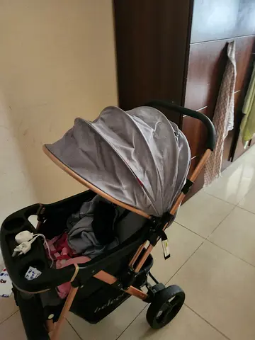 Stroller with Sunshade and Storage