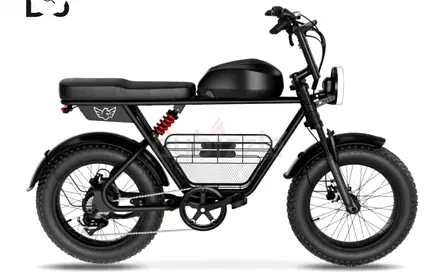 Wind Horse D5 Electric Bike - 1 Year Warranty