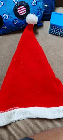 Red Christmas Santa Hat