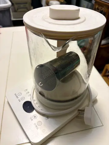 Electric Kettle with Temperature Control