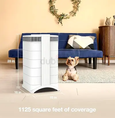 Air Purifier for Large Rooms