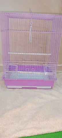Bird cage