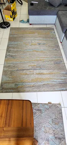 Elegant and Modern Area Rug