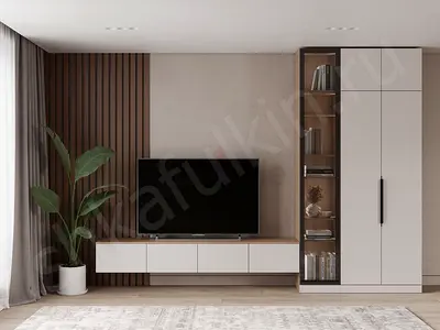 Modern Tv Unit  with Storage