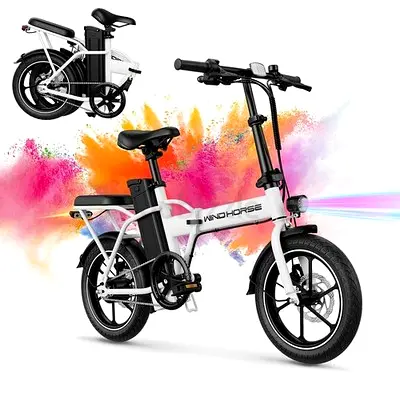 Wind Horse W2 A Electric Bike