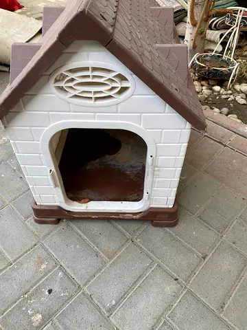 Plastic Dog House for Sale