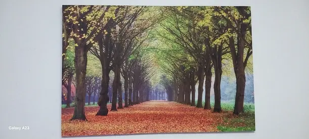 Autumn Pathway Artwork