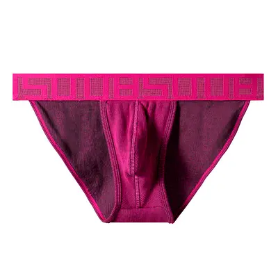 Stylish Mens Briefs in Vibrant Pink