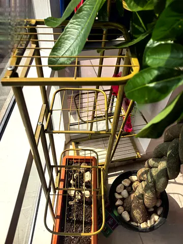Multi-Tier Plant Stand Gold color