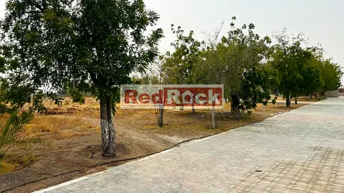 Luxury Villas with Farm in Al Dhaid for Sale