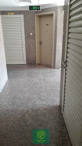 Muwaileh Commercial 3,000 Sq. Ft total plot area with built in residential building including shops