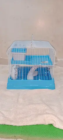 Hamster cage